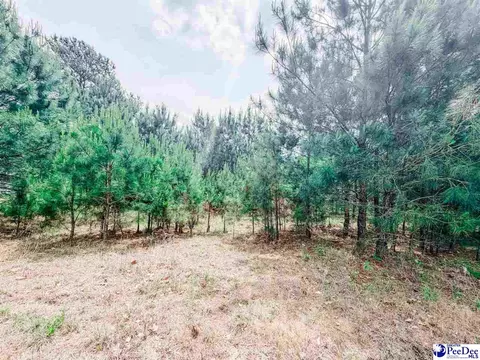 202 Meggs Island Rd, Latta, SC 29565