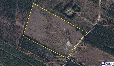 tbd Foxworth Rd, Marion, SC 29571