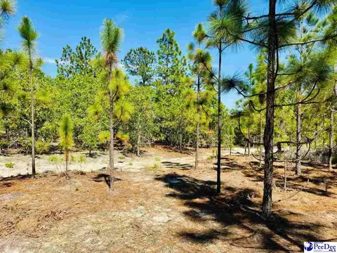 Mt. Olivet Church Rd, Patrick, SC 29584 photo 40