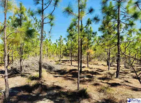 Mt. Olivet Church Rd, Patrick, SC 29584 photo 39