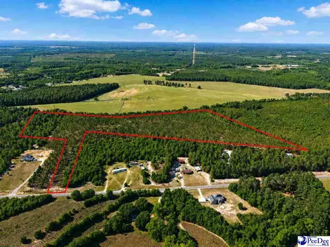 Mt. Olivet Church Rd, Patrick, SC 29584 photo 17