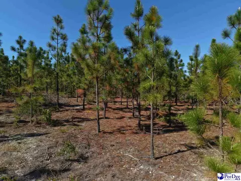 Mt. Olivet Church Rd, Patrick, SC 29584 photo 12