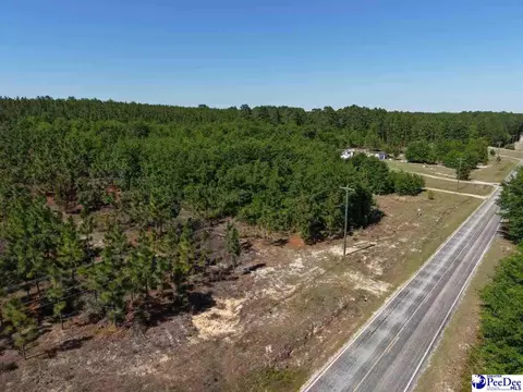Mt. Olivet Church Rd, Patrick, SC 29584 photo 25