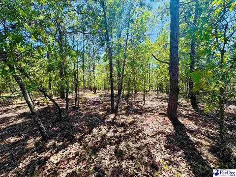 Mt. Olivet Church Rd, Patrick, SC 29584 photo 31