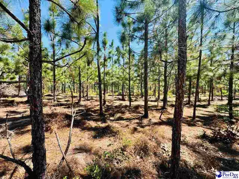 Mt. Olivet Church Rd, Patrick, SC 29584 photo 35