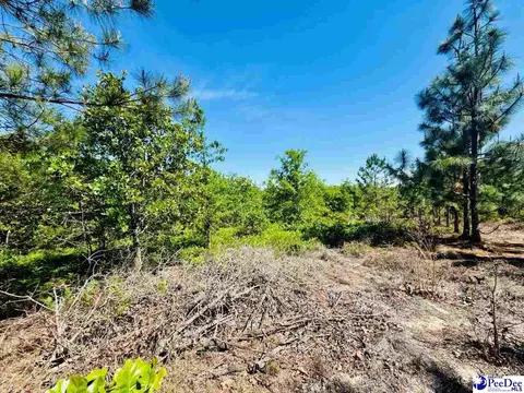 Mt. Olivet Church Rd, Patrick, SC 29584 photo 44
