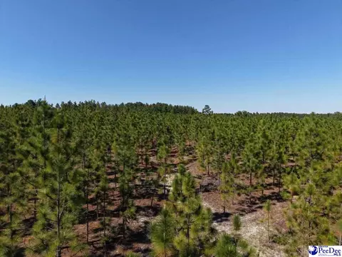Mt. Olivet Church Rd, Patrick, SC 29584 photo 20