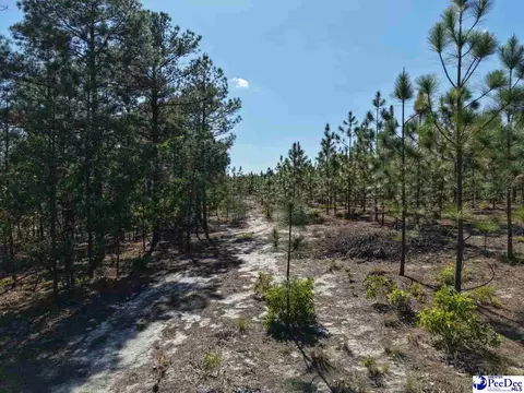 Mt. Olivet Church Rd, Patrick, SC 29584 photo 14