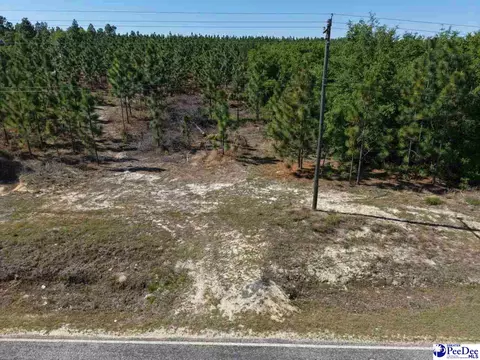 Mt. Olivet Church Rd, Patrick, SC 29584 photo 23