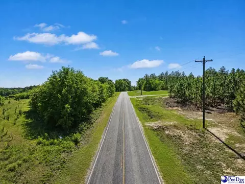 Mt. Olivet Church Rd, Patrick, SC 29584 photo 9