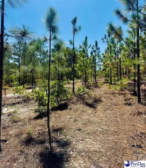 Mt. Olivet Church Rd, Patrick, SC 29584 photo 42