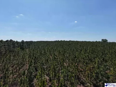 Mt. Olivet Church Rd, Patrick, SC 29584 photo 27