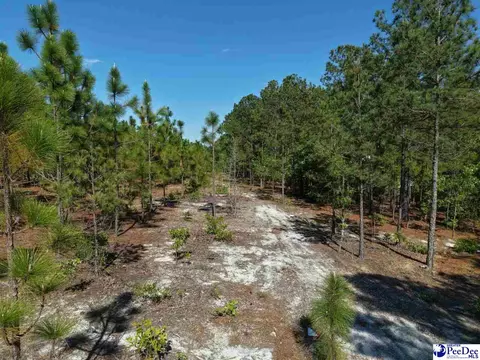 Mt. Olivet Church Rd, Patrick, SC 29584 photo 16