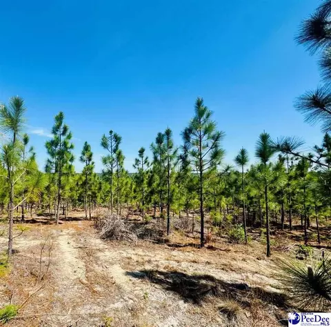 Mt. Olivet Church Rd, Patrick, SC 29584 photo 30