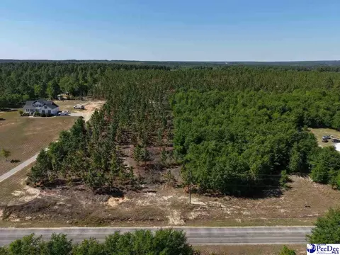 Mt. Olivet Church Rd, Patrick, SC 29584 photo 26
