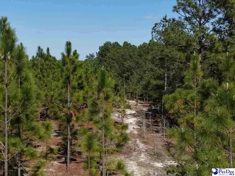 Mt. Olivet Church Rd, Patrick, SC 29584 photo 21