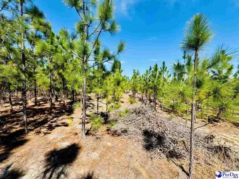 Mt. Olivet Church Rd, Patrick, SC 29584 photo 37