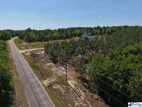 Mt. Olivet Church Rd, Patrick, SC 29584 photo 24