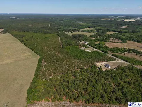 Mt. Olivet Church Rd, Patrick, SC 29584 photo 6