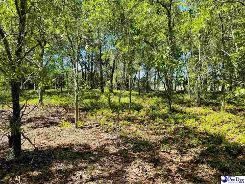 Mt. Olivet Church Rd, Patrick, SC 29584 photo 32
