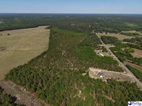 Mt. Olivet Church Rd, Patrick, SC 29584 photo 4