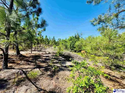 Mt. Olivet Church Rd, Patrick, SC 29584 photo 45