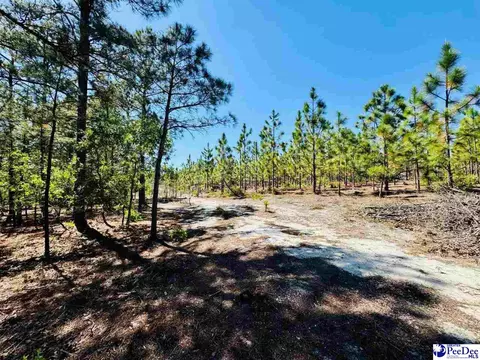 Mt. Olivet Church Rd, Patrick, SC 29584 photo 43