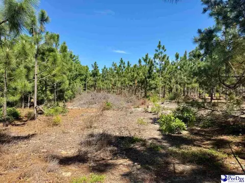 Mt. Olivet Church Rd, Patrick, SC 29584 photo 34