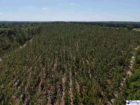 Mt. Olivet Church Rd, Patrick, SC 29584 photo 29