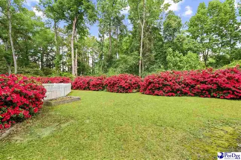 Exterior - 808 Wedgefield Rd, Florence, SC 29501 photo 11 of 12