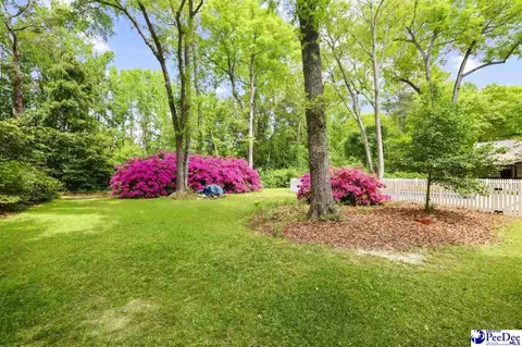 Exterior - 808 Wedgefield Rd, Florence, SC 29501 photo 12 of 12