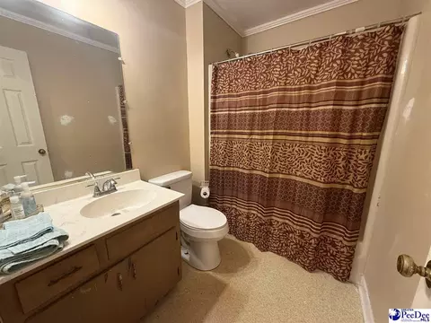 2101 Evans Mill Rd, Pageland, SC 29728 photo 18
