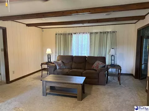 2101 Evans Mill Rd, Pageland, SC 29728 photo 3