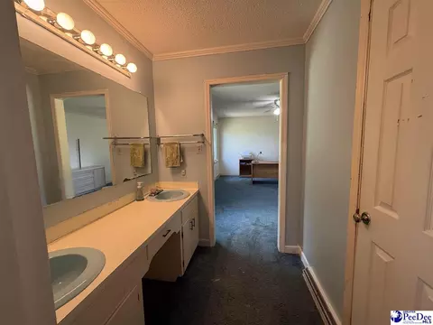 2101 Evans Mill Rd, Pageland, SC 29728 photo 26