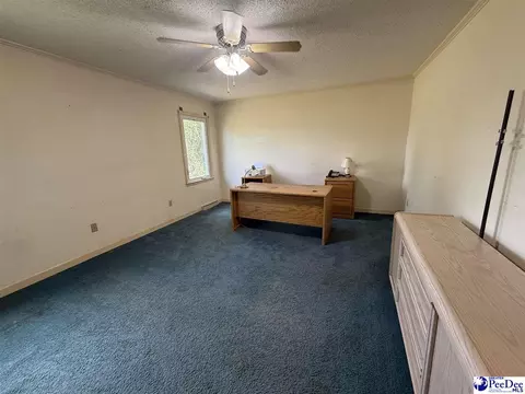 2101 Evans Mill Rd, Pageland, SC 29728 photo 21