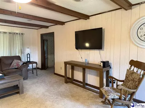 2101 Evans Mill Rd, Pageland, SC 29728 photo 15