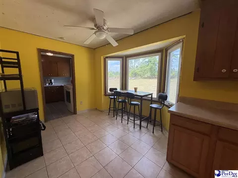 2101 Evans Mill Rd, Pageland, SC 29728 photo 10