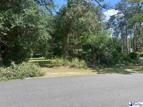 1525 Cherokee Rd, Florence, SC 29501 photo 4