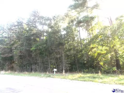 tbd Friendfield Rd, Pamplico, SC 29583