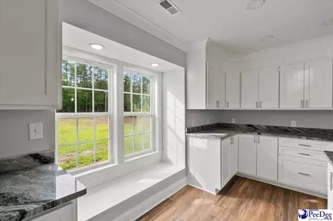 1352 Lester Rd, Dillon, SC 29536 photo 17