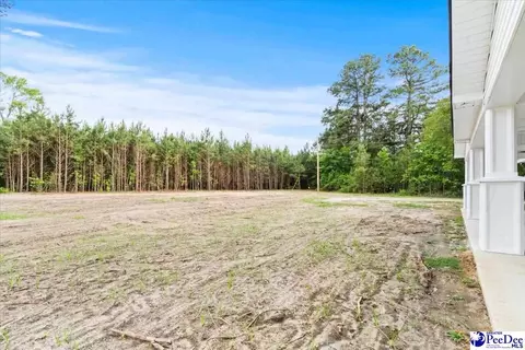 1352 Lester Rd, Dillon, SC 29536 photo 64