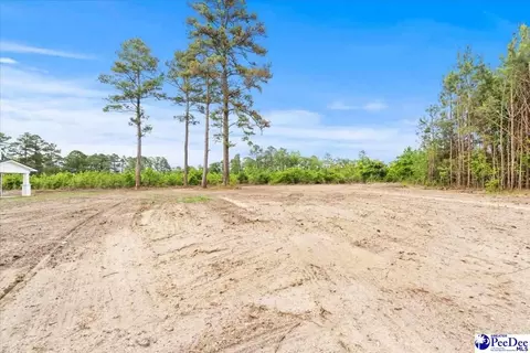 1352 Lester Rd, Dillon, SC 29536 photo 65