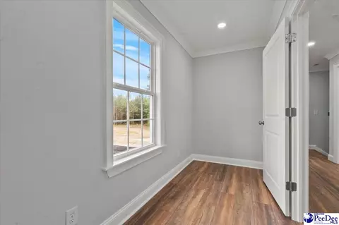 1352 Lester Rd, Dillon, SC 29536 photo 50