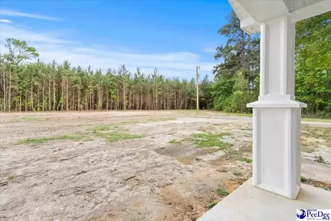 1352 Lester Rd, Dillon, SC 29536 photo 63