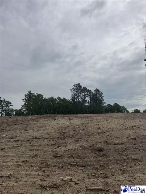 lot B Bailey Sawmill Rd, Ruby, SC 29741