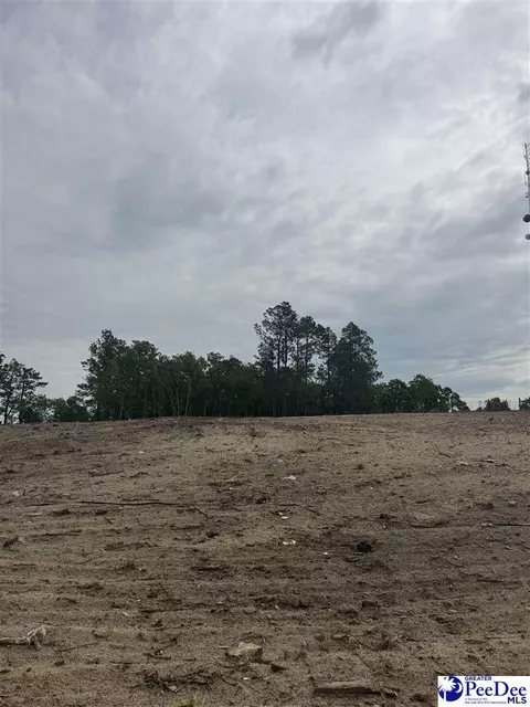 lot B Bailey Sawmill Rd, Ruby, SC 29741 photo 2