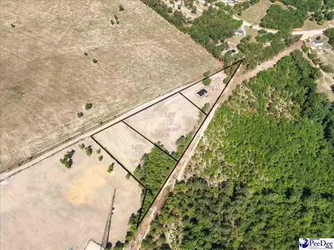 lot B Bailey Sawmill Rd, Ruby, SC 29741 photo 3
