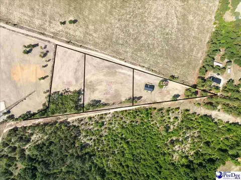 lot B Bailey Sawmill Rd, Ruby, SC 29741