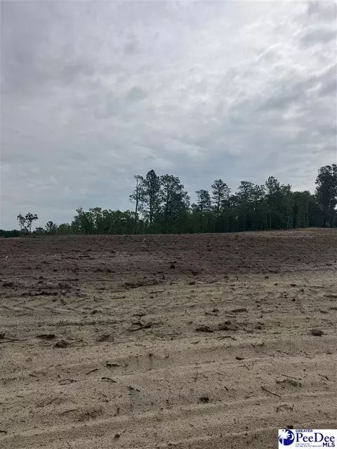 lot C Bailey Sawmill, Ruby, SC 29741