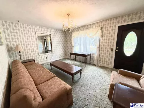 Other - 2134 Arrie Rd, Dillon, SC 29536 photo 6 of 16